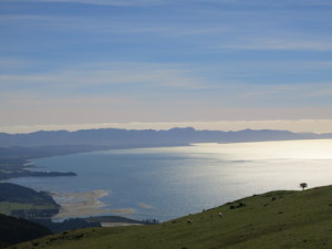 Yoga in Neuseeland